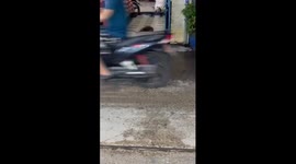 Dog struggles to move while tied in Hồ Chí Minh, Vietnam