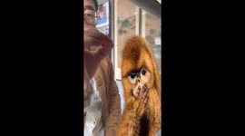 Mastering magic in thread: The unique double-sided embroidery in China