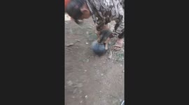 The mischievousness of a little dog Make the head stick to the clay container.