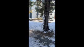 Snowman spotted lurking in South Korea by Chinese filmer