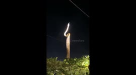 Huge python caught stretching on the top of telegraph pole