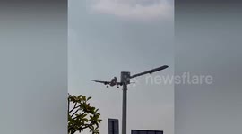 Flock of birds collides with plane as it comes in for landing