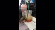 temp