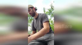 US: Northern Cardinal Sings While Held In Video, Study Links Microbiome To Health