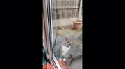 temp