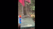 temp