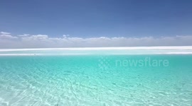 Drone falls from sky, striking woman's face as she poses for photo at salt lake