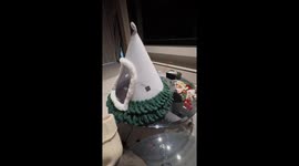 Chinese pet owner crafts Christmas tree cat house