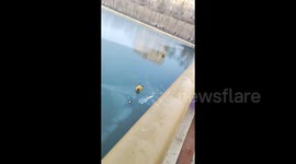 Heroic firefighters crawl across cracking ice to rescue girl who fell through frozen river in China