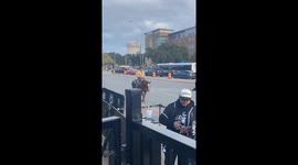 Man and dog ride bull on road in College Station, Texas, USA