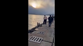 Man rescues woman from ocean at Xinghai Square in Dalian