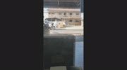 temp