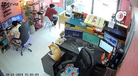 Clumsy pet bulldog tries to nap on drawers but topples off the edge