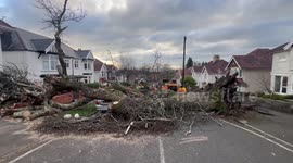 UK: Swansea Teams Work Tirelessly to Clear Storm Darragh's Devastation