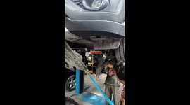 Mechanics shocked to find huge python underneath car