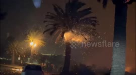 Pine trees catch fire during windy conditions in Malibu, California, USA