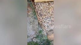 'It is like Niagara Falls' - elderly couple's 'nightmare' as home flooded 20 times