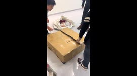 Kitten found alive in furniture box in Jiangxi Province