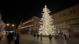 The Christmas tree illuminated by Christmas lights in the evening in Piazza del Nettuno in Bologna.