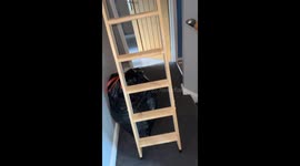 Person screams after finding picture in loft in Derbyshire, UK