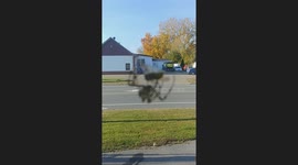 summer spider close-up