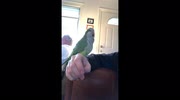 temp