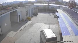 Deliveryman chases dog, then runs after his car heading towards wall with engine left running
