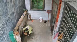 Pot breaks while being held with food