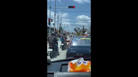 Hilarious makeshift tree pruning amuses passing drivers