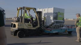 Arrival of new pandas warmly welcomed in Australia