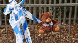 Police hunt driver after boy, 2, killed in car crash involving stolen Porsche