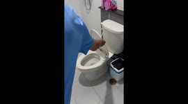 Terrifying moment huge snake appears in family's toilet