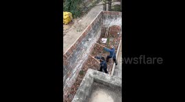 China: Pushing Down a Wall in Nanyang