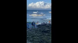 Masses of fish gather on shore in Moalboal, Cebu