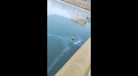 Firefighters rescue girl from frozen river in Liaoning, China