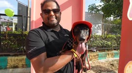 Hundreds of Pets gathered with their pet parents for the Pet festival in India