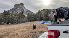 US: Red-Tailed Hawk Soars Back Into The Wild After Successful Rehabilitation