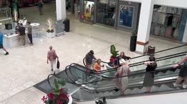 Mentally stimulating down time activities linked to better brain health: study