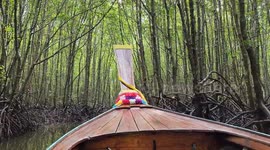 Krabi, just off the Mud Crab Sculpture as a part of a boat hire you can take a short ride through the mango trees