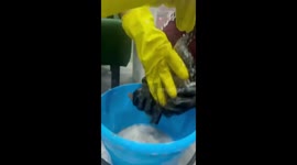 People wash oil stains off a bird in Krasnodar Krai, Russia