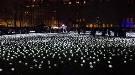 People joined thousands of illuminated white roses at Ever After Garden in Grosvenor Square, London