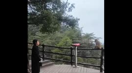 Teachable moment: Woman gives monkey a talking-to after bag contest