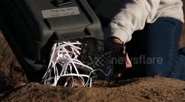 US: Colorado Parks and Wildlife Marks Milestone in Black-Footed Ferret Recovery