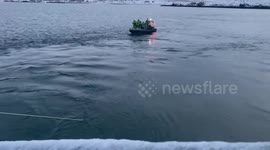 Coast Guard rescues whale trapped in anchorage line in Iceland