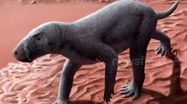 Earliest known mammal ancestors discovered on Spanish island of Mallorca