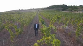 China: Chinese-owned vineyard brews success in Portugal's wine industry