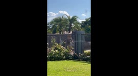 Exclusive- Bagwera tradition sparks TikTok curiosity