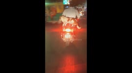 Dog sits motionless on motorcycle in Prayagraj, India