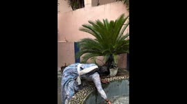 Lady rescues monitor lizard from water in Bilaspur, India