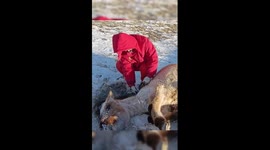 Woman saves pony tangled in wire in N China